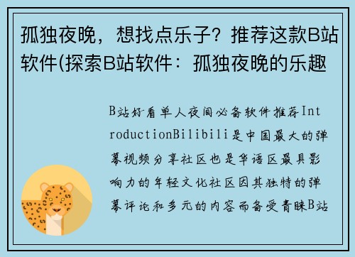 孤独夜晚，想找点乐子？推荐这款B站软件(探索B站软件：孤独夜晚的乐趣续篇)